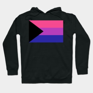 Demi-Bisexual Pride Flag Hoodie